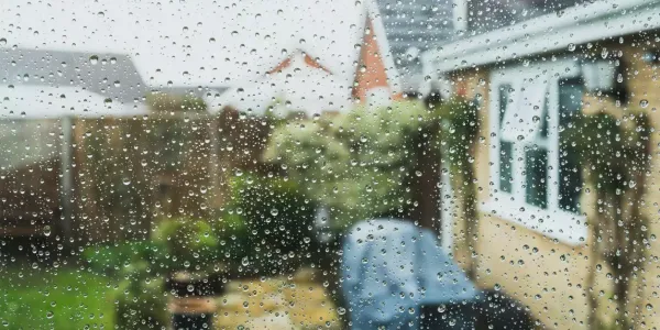 View of a rain from a window
